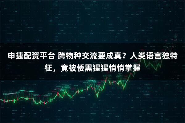 申捷配资平台 跨物种交流要成真？人类语言独特征，竟被倭黑猩猩悄悄掌握