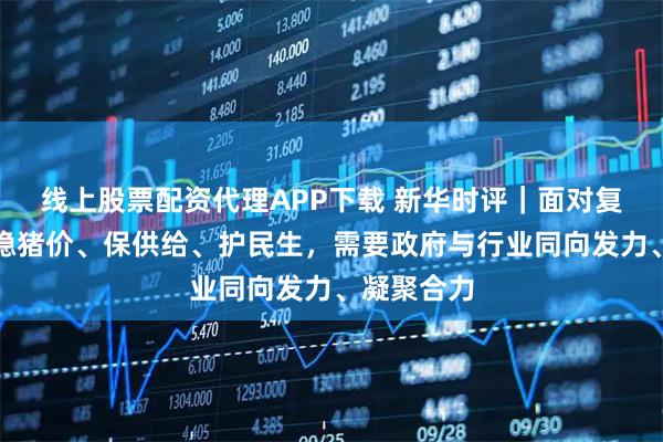 线上股票配资代理APP下载 新华时评｜面对复杂形势，稳猪价、保供给、护民生，需要政府与行业同向发力、凝聚合力