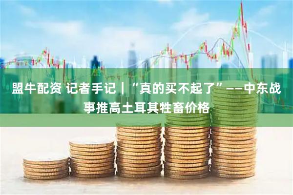 盟牛配资 记者手记｜“真的买不起了”——中东战事推高土耳其牲畜价格