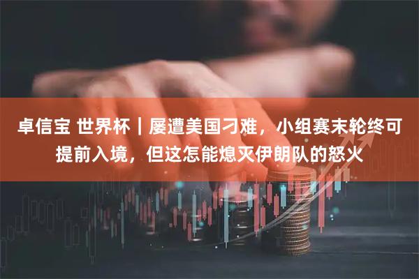 卓信宝 世界杯｜屡遭美国刁难，小组赛末轮终可提前入境，但这怎能熄灭伊朗队的怒火