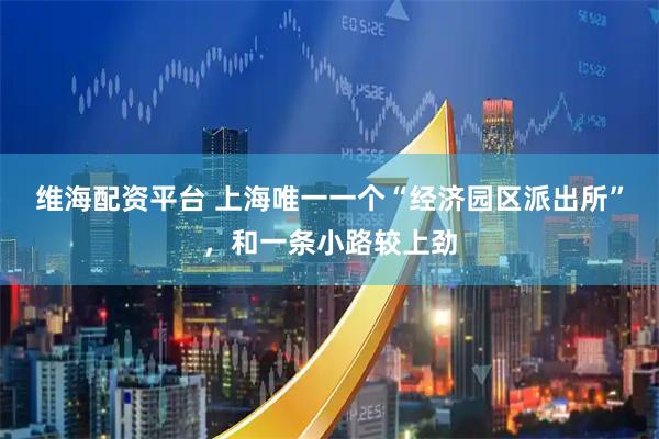 维海配资平台 上海唯一一个“经济园区派出所”，和一条小路较上劲